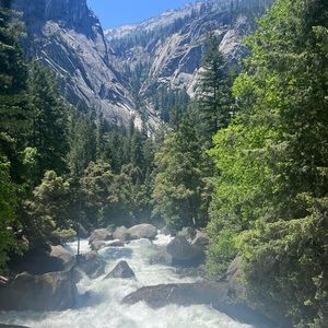 Meet your Posher, Carol